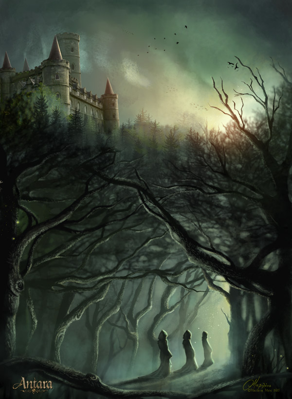 The forest of Dark Aster