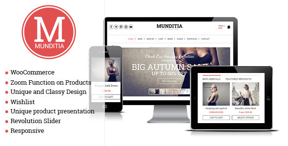 ecommerces-themes3