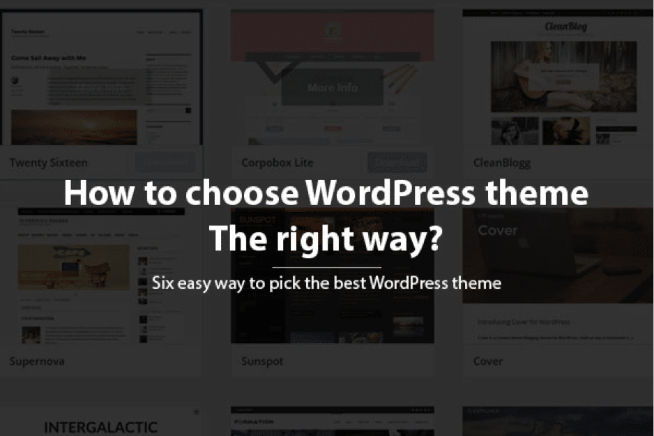 best-wordpress-theme1