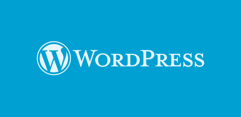 20 Good Reasons Why Startups Should Use WordPress For Website Building 