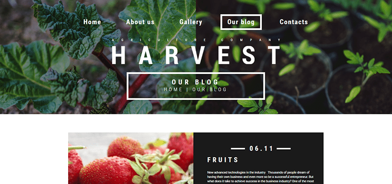 Niche WordPress Theme